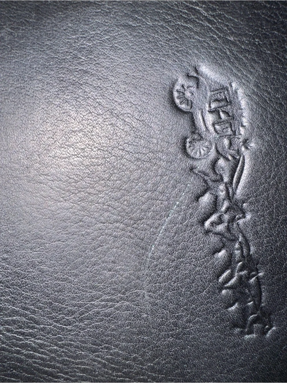 Claire Chase IP 300 case in black leather. - Picture 5 of 7